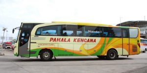 Pengalaman Mudik Pertama (dan Mengapa Saya Tidak Akan Naik Bus Lagi)